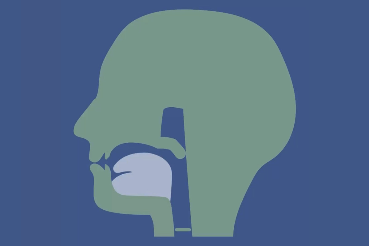 Thumbnail for the Phonic Bloom project.